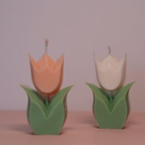 Tulipan con hojas