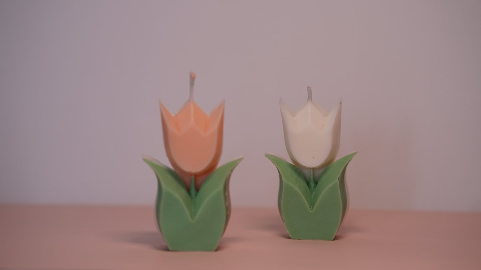 Tulipan con hojas