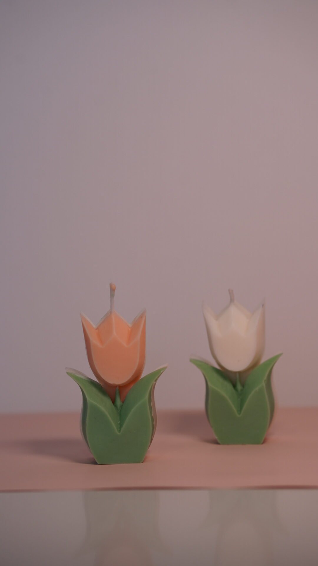 Tulipan con hojas - Image 3
