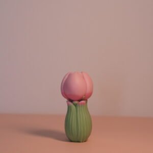 Tulipan cerrado